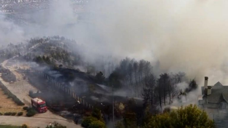 Ankara'nın Gölbaşı ilçesinde ormanlık alanda yangın