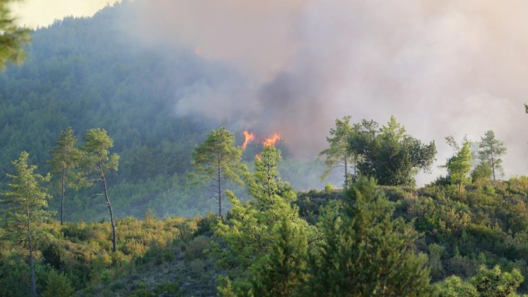 Antalya Serik'teki yangın büyük ölçüde kontrol altında
