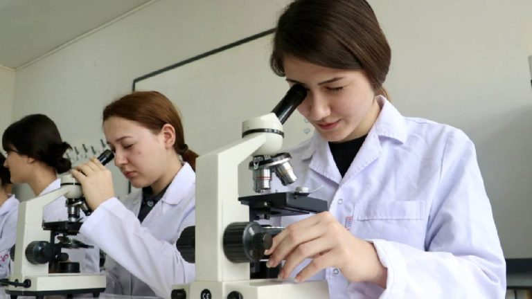 Türkiye'de ARGE harcamaları geçen yıl 980,4 milyar lirayı aştı