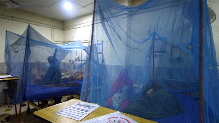 Bangladeş'te yıl başından bu yana dang humması nedeniyle ölenlerin sayısı 364'e çıktı