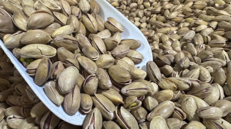 9 aylık fıstık ihracatı 80 milyon doları aştı