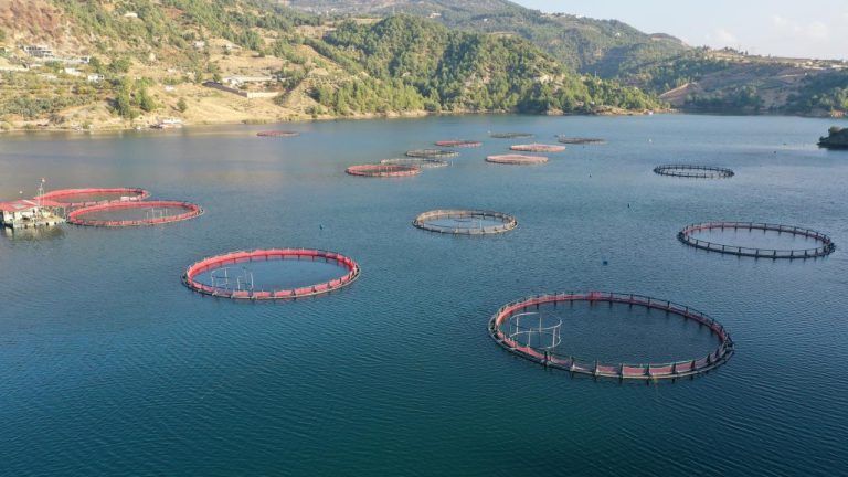 Su ürünleri ihracatı 9 ayda 1,8 milyar dolara ulaştı